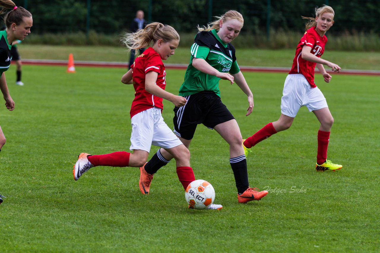 Bild 196 - C-Juniorinnen Landesmeister Finale SV Wahlstedt - TuRa Meldorf : Ergebnis: 1:4